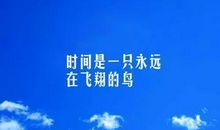 感悟人生经典名言语录