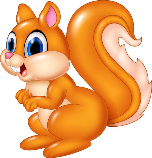 可爱的小松鼠组成