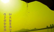 感悟人生经典语录