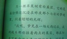 人民的苹果读后感