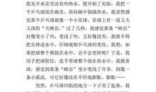 温暖感动的作文