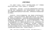 小鸭子历险记作文