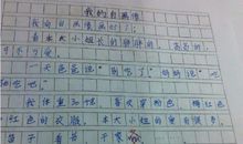 我打算这样过生日作文