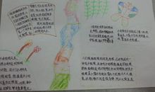 大自然的启示日记