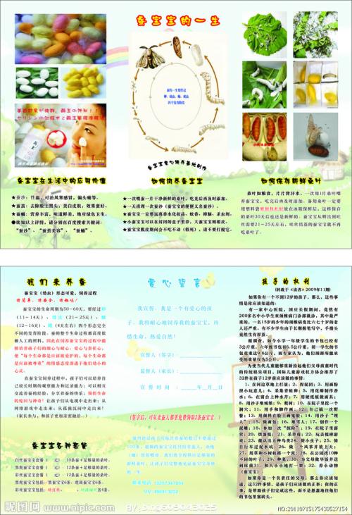 二年级成分蚕宝宝