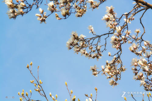 春天的天气和雨的感觉
