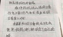 假期里的一件事500字作文