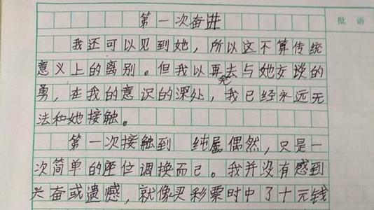 我的发现小学作文