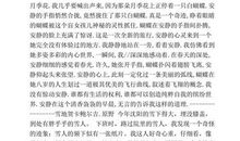 奇异的琥珀作文