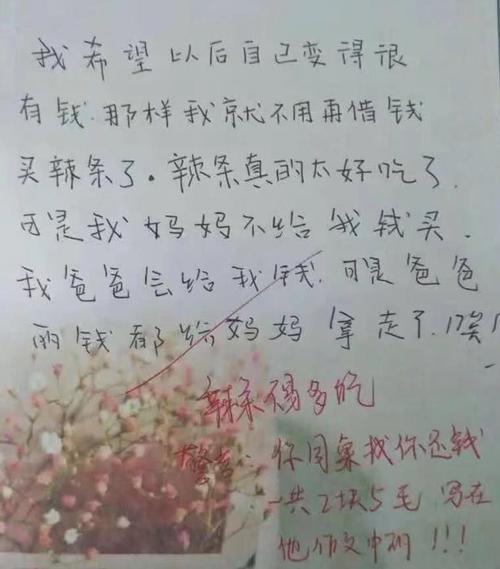 我辣妈的作文