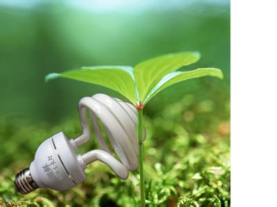 友谊是成长缓慢的植物