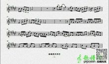 我的歌声里作文