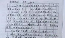 小学生军训作文