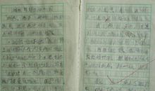 保护动物作文900字