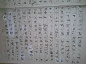 故乡风情500字