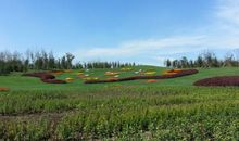 关于锦州世博园的作文