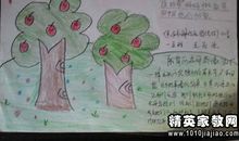 小飞侠彼得潘读后感500字