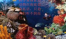 奇妙的海底世界作文