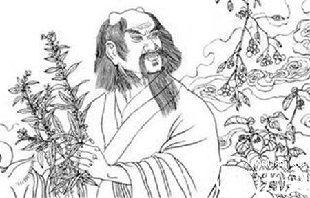 关于阅读“神农味”的思考