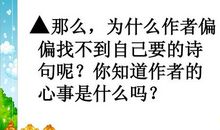 莲叶青青读后感