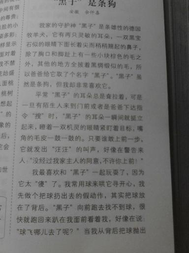 我最喜欢的小狗文