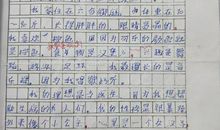 写家的温暖作文500字