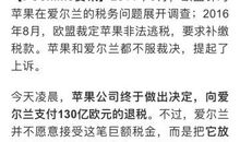 三个大傻读后感