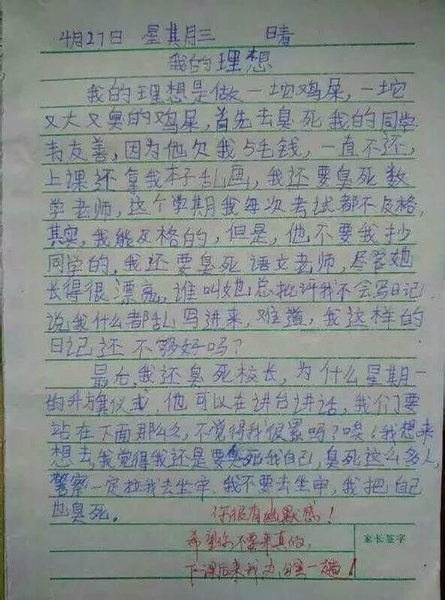 我的新中文老师作文