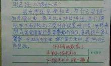 我的新语文老师作文