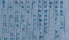 我的新老师作文500字