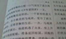 爱国英雄读后感