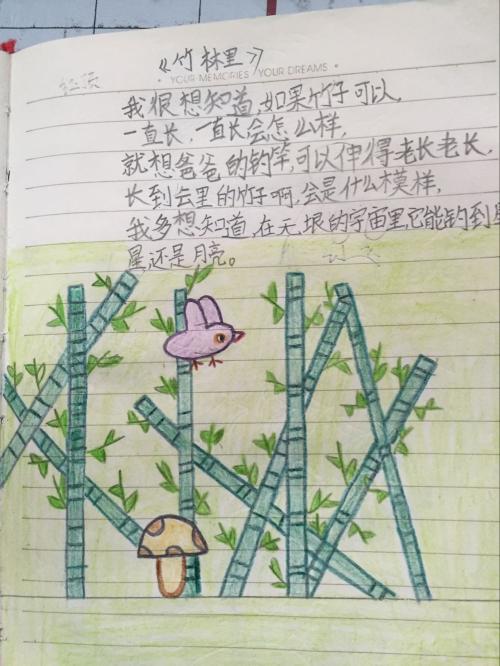 读《中国画》后的感想