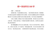 假如我是一棵小草作文500字