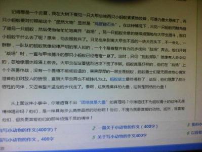 我和我的宠物成分