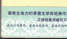 《穆斯林的葬礼》读后感