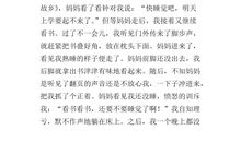 我和电脑作文400字