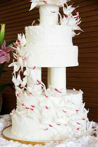 看完了生活在蛋糕上的天使