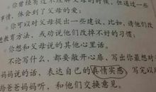 假如我是一棵树450字作文