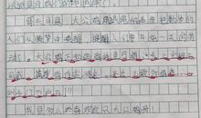 我家之最初中作文