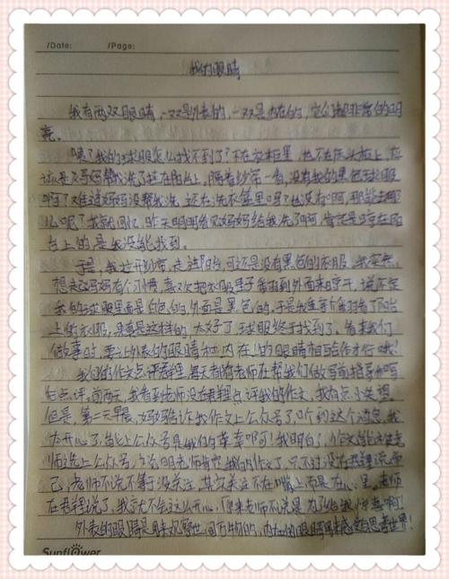 老师的眼睛组成