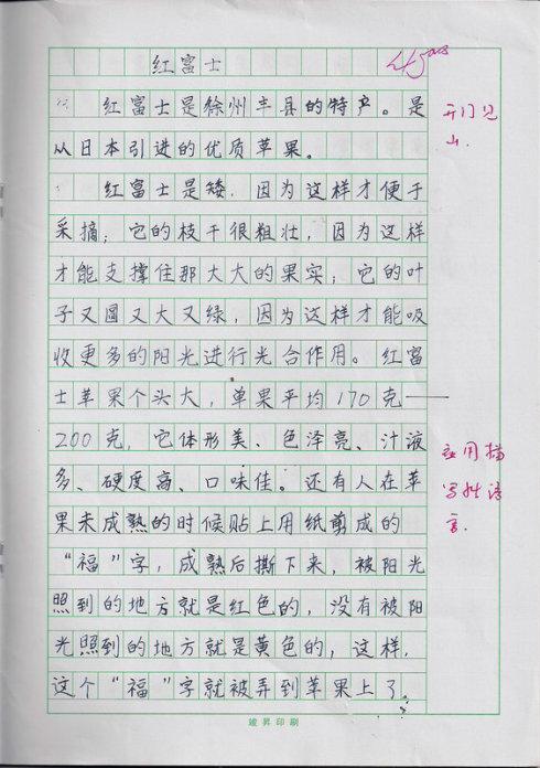 冬天在这里200字