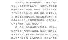 借雨抒情的作文