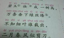 春天来了日记100字