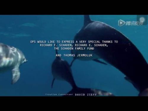 纪录片《海豚湾》影评人