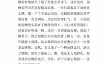 我们村的新鲜事作文