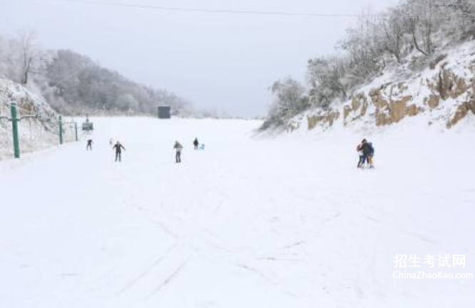 冬季打雪仗初中作文