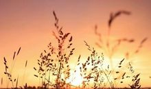 让信念点亮生命作文