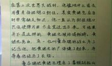 寒假见闻作文700字
