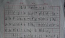 让我快乐的一件事作文