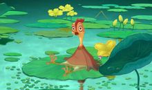 电影鸡妈鸭仔读后感